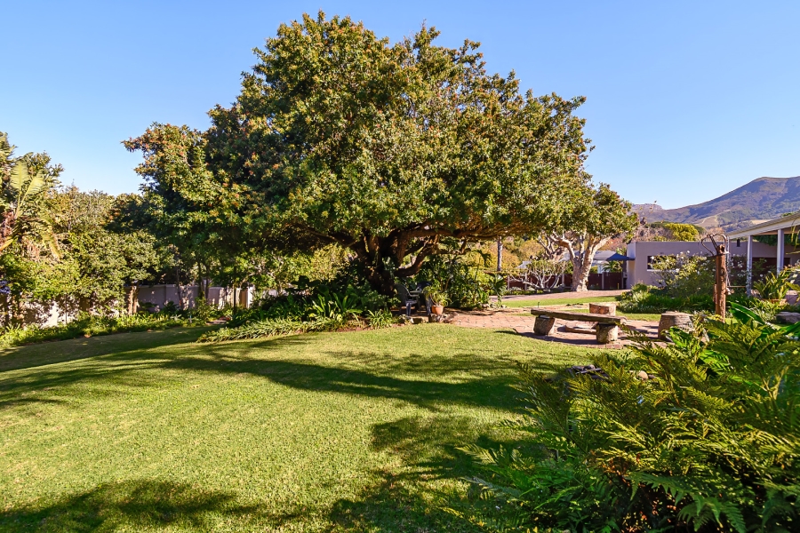 5 Bedroom Property for Sale in Constantia Western Cape